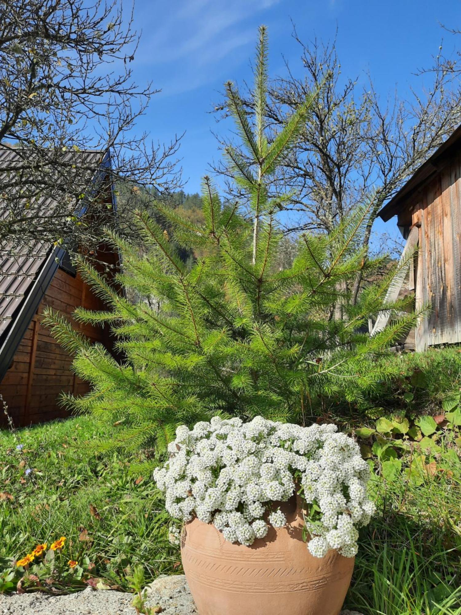 Vikendica Neven Villa Zaovine Exterior foto