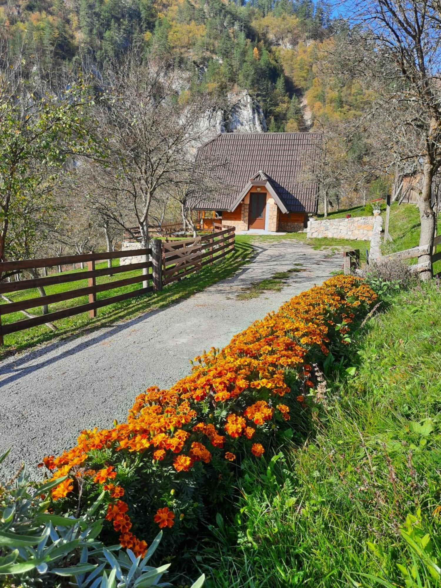 Vikendica Neven Villa Zaovine Exterior foto
